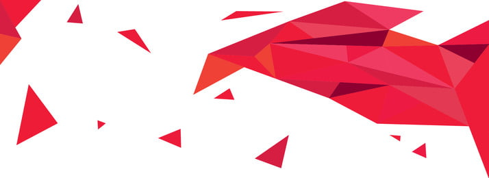 Training Programmes 