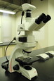 Microscope