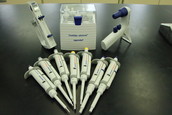 Pipette